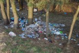 Problem odpadów i śmieci w Gminie Kowal!