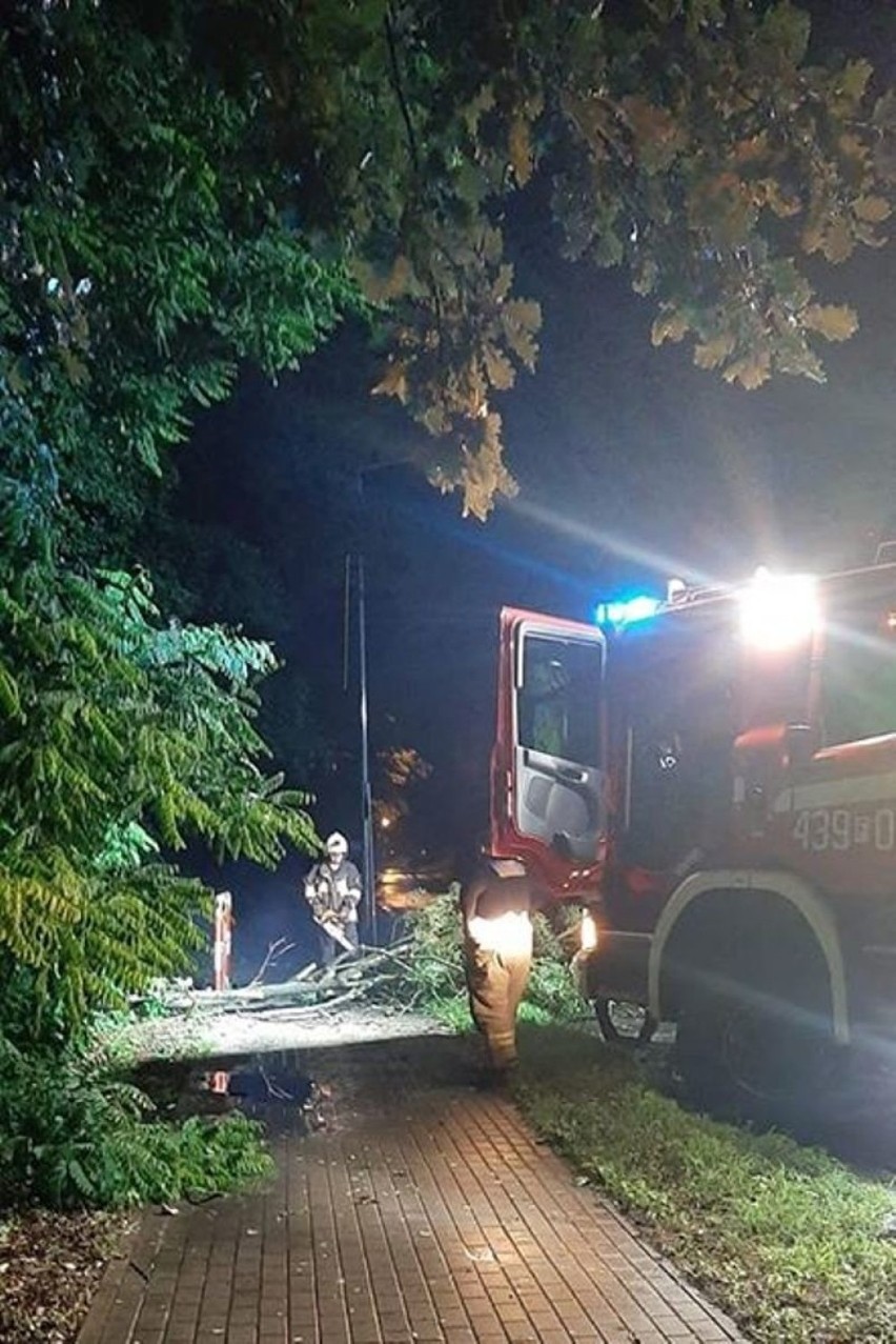Strażacy z OSP Sława interweniowali we Wróblowie
