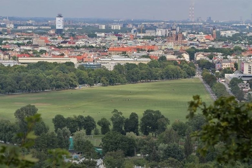 Kraków. Mieszkaniec: urzędnicy marnują wodę. ZZM: nie podlewaliśmy Błoń, tylko łąkę kwietną, by nasiona nie wyschły