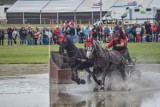 Gm. Szamotuły. Baborówko Driving Show - międzynarodowe zawody w powożeniu zaprzęgami już w ten weekend! Sprawdź program imprezy!