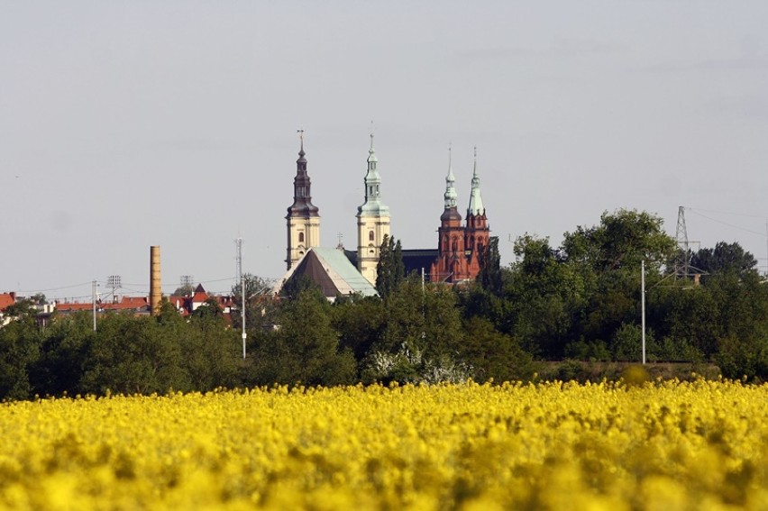 Tak wygląda Legnica widziana od strony ulicy Bobrowej.