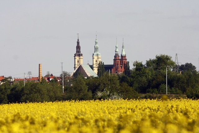 Tak wygląda Legnica widziana od strony ulicy Bobrowej.