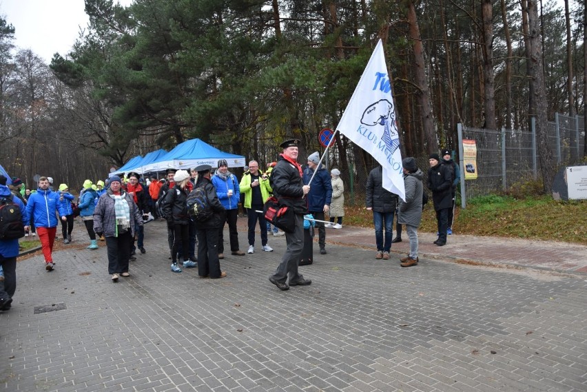 Wicie - kąpiel morsów w Bałtyku