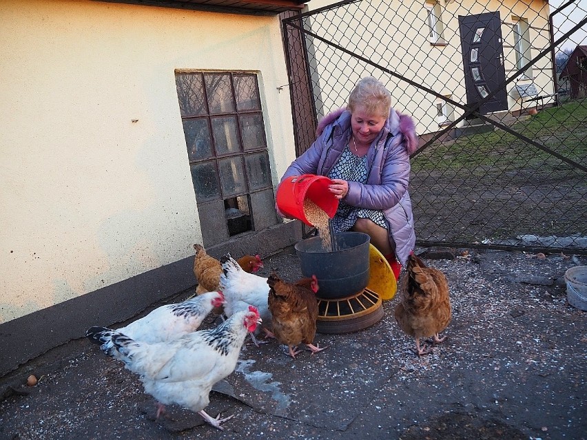 ZOBACZ JAK MIESZKA HALINA Z PABIANIC...