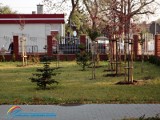 Prawie 100 tysięcy złotych na nowe drzewa i krzewy