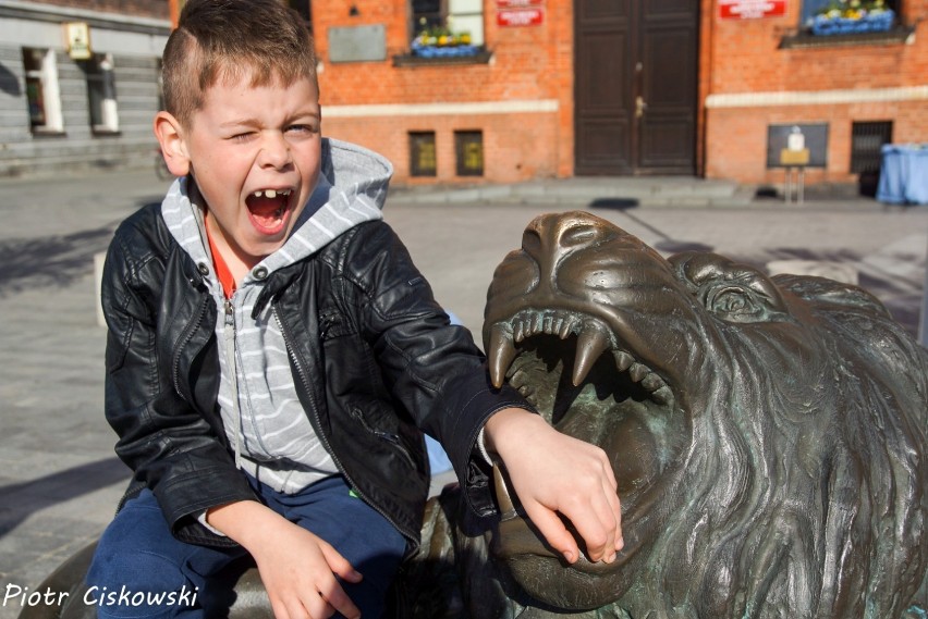 Foto powiat pucki (wiosna 2018): wiosenny Puck w pełnej krasie. Oto rodzinne foto zwiedzanie Starego Rynku  | ZDJĘCIA