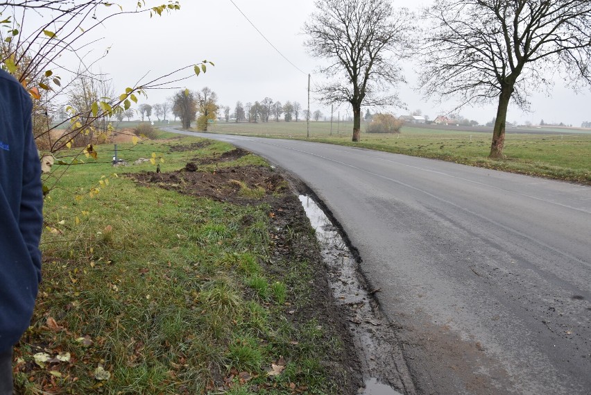 Zakręt w Sierakowie, jest niebezpieczny, często ścinany...