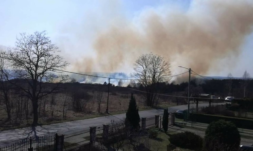 Duży pożar w Blanowicach. W akcji bierze udział 10 zastępów straży i 2 samoloty