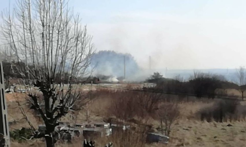 Duży pożar w Blanowicach. W akcji bierze udział 10 zastępów straży i 2 samoloty