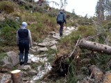 Tatrzański Park Narodowy otwiera trzy szlaki, które były niedostępne dla turystów w czasie zimy