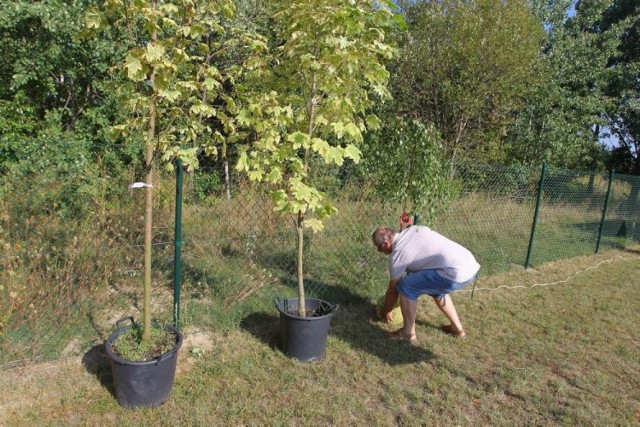 Przeprowadzka z Pamiątkowej na Suwalską