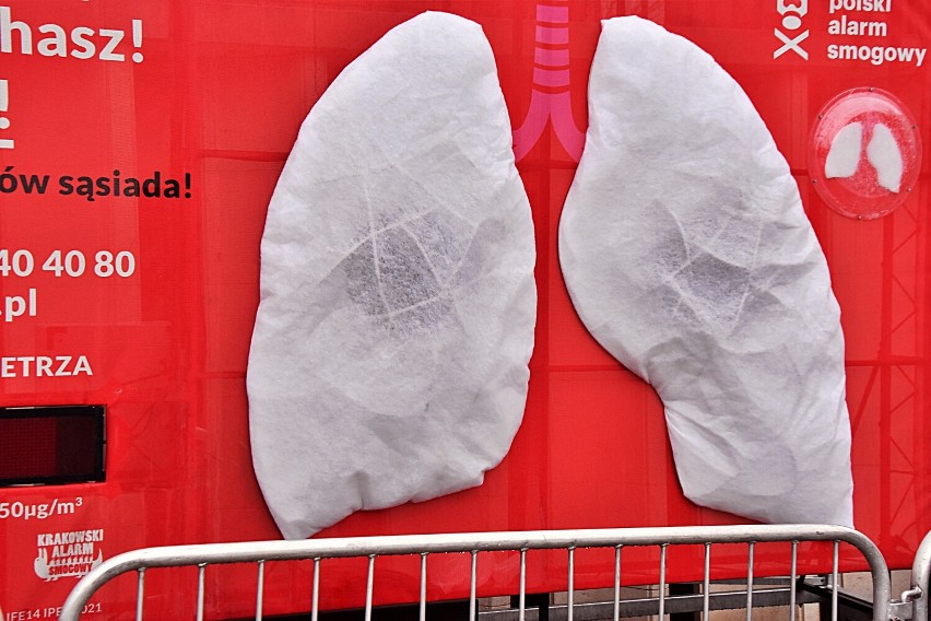Sztuczne płuca stanęły na gorlickim Rynku. Nietypowa instalacja promuje ekologiczne rozwiązania
