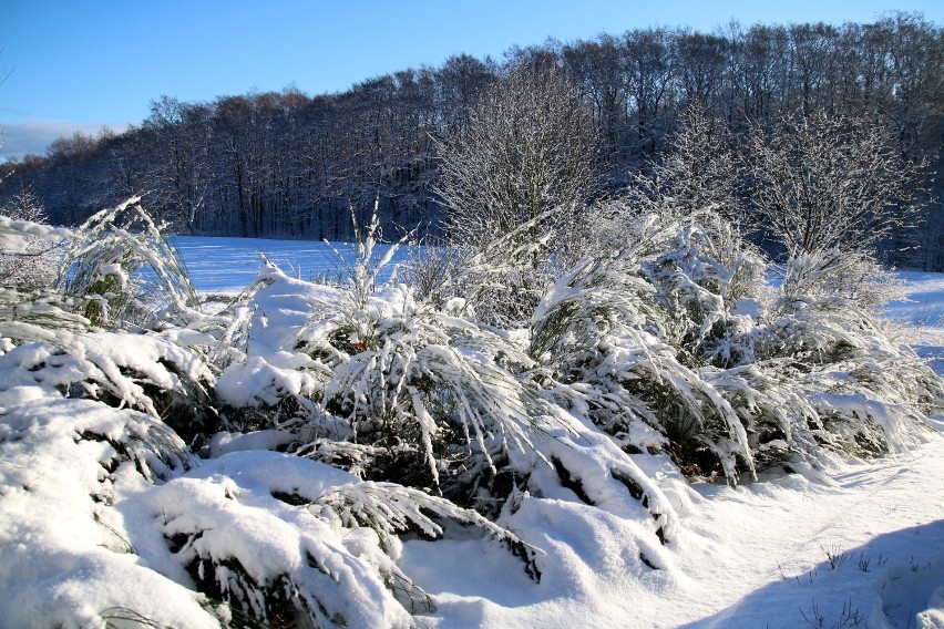 Śnieżna zima w powiecie puckim, styczeń 2017