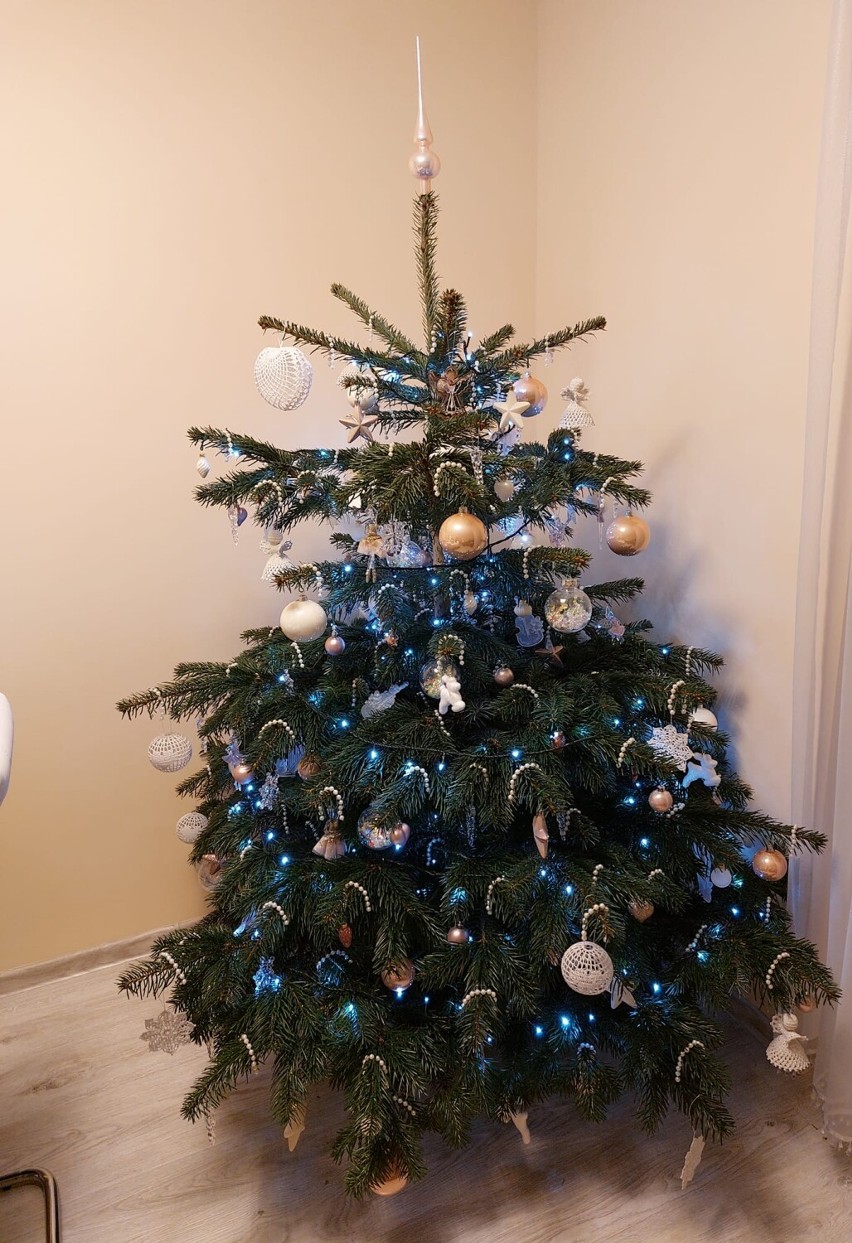 Choinki Czytelników portalu kwidzyn.naszemiasto.pl. Zobaczcie wyjątkowe zdjęcia świątecznych drzewek! [ZDJĘCIA]
