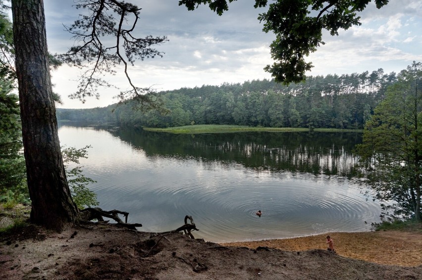 Dzika plaża w Salnie nad jeziorem otoczonym lasem. Cisza,...