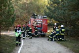 Strażacy z Bydgoszczy wyjeżdżali do pożarów lasów cztery razy w ciągu jednego dnia!