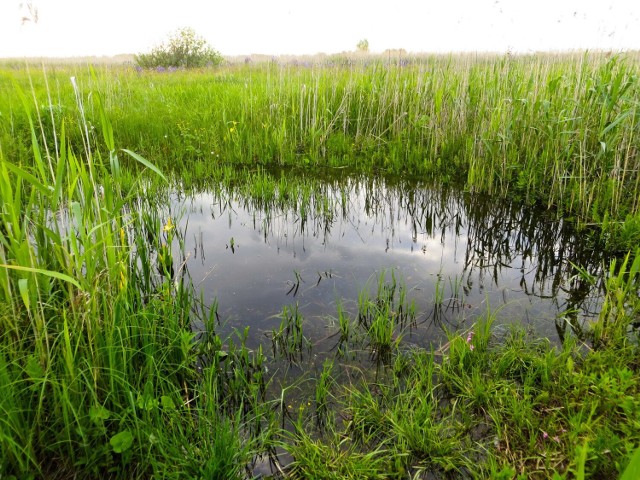 Na numer alarmowy zadzwonił mężczyzna, który przekazał, że ugrzązł w bagnie we wsi Męcikał i sam nie jest w stanie się z niego wydostać.