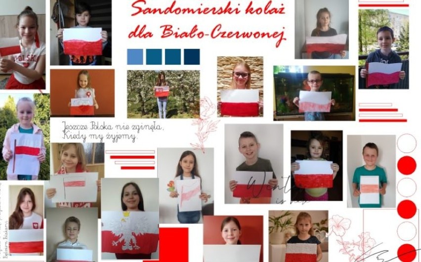 W Sandomierzu zaczęło się świętowanie Dnia Flagi! Zobacz niezwykły kolaż z biało czerwoną [ZDJĘCIA]