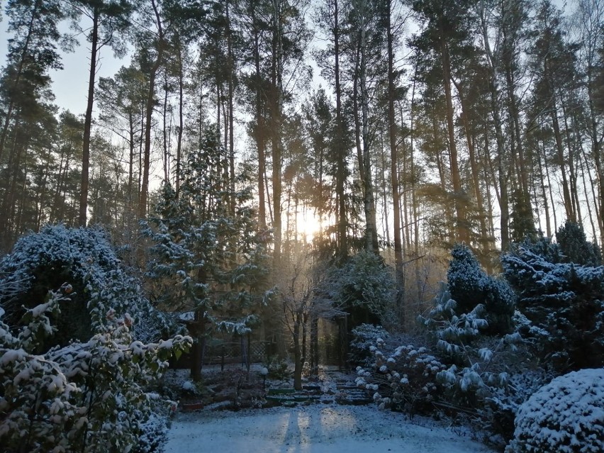 To najpiękniejsza galeria! Bo Wasza!