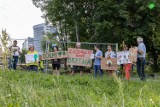 Kraków. Gorąco wokół budowy linii tramwajowej do Mistrzejowic. Mieszkańcy przyszli protestować na miejscu wycinki drzew