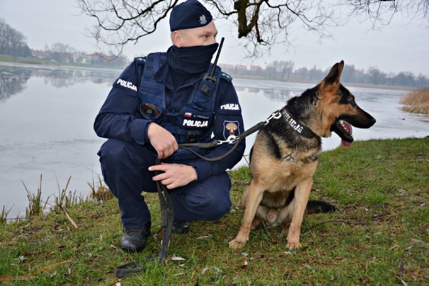 Do suwalskiej policji dołączył owczarek niemiecki - Szarik