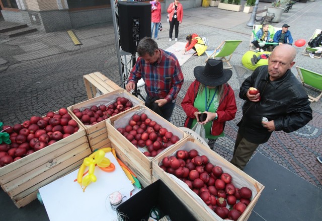 Święto Jabłka w Szczecinie