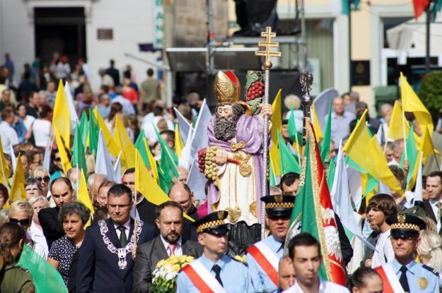 Podczas Winobrania odbywają się uroczystości ku czci św. Urbana I. Figura patrona miasta niesiona jest do konkatedry pw. św. Jadwigi