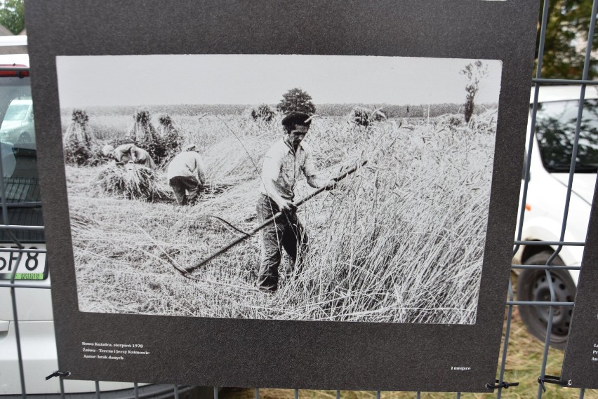 Koziegłowy i okolice na starych fotografiach. Rozpoznasz to miasto?