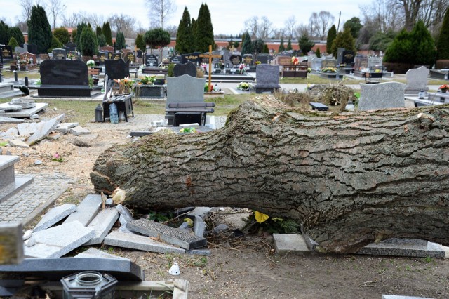 Wichury spowodowały ogromne szkody na żagańskim cmentarzu komunalnym