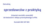 Oferta pracy - Sprzedawca