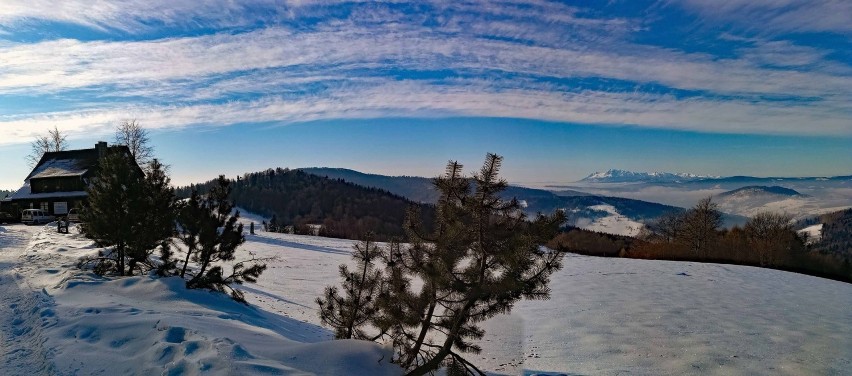 Bacówka nad Wierchomla zimą, a w tle widok na Tatry