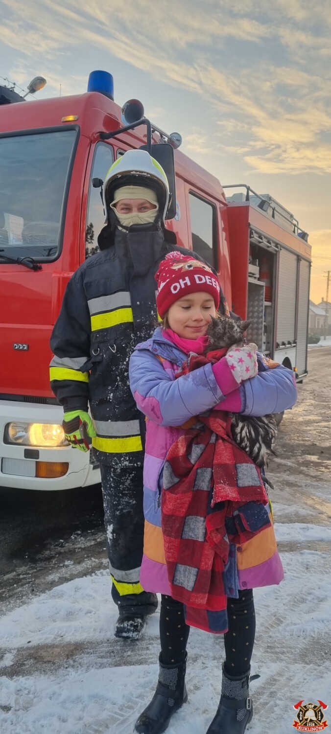 Kuklinowscy strażacy ruszyli na pomoc w akcji ratowania kota! [ZDJĘCIA]