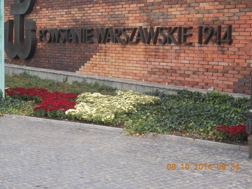 Jesień w Warszawie. Na ulicah pojawiły się kwiatowe ozdoby