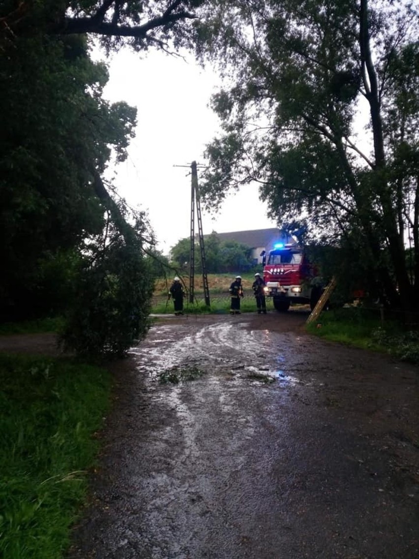 Strażacy OSP Podwiesk usunęli oberwany konar drzewa