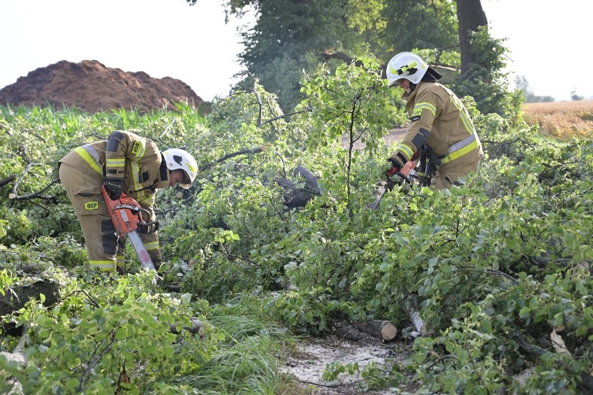 Niszczycielskie burze przeszły przez region. Strażacy z Grudziądza i powiatu wyjeżdżali ponad 100 razy
