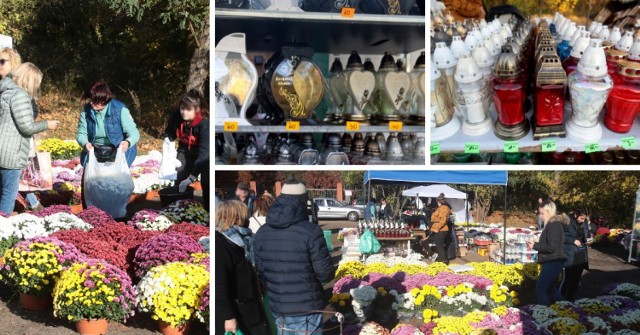 Sprawdziliśmy ile w tym roku kosztują znicze i kwiaty pod Cmentarzem Centralnym w Szczecinie. Na kolejnych zdjęciach poznacie wybór zniczy z cenami, ozdoby na groby, chryzantemy, wrzosy i pozostałe rośliny odpowiednie na cmentarz.