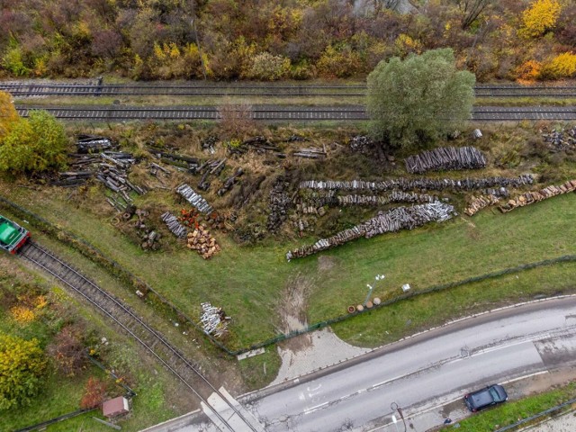 Urzędnicy liczą, że tym razem - ze względu na sytuację opałową na rynku - drewno rozejdzie się podczas pierwszej licytacji