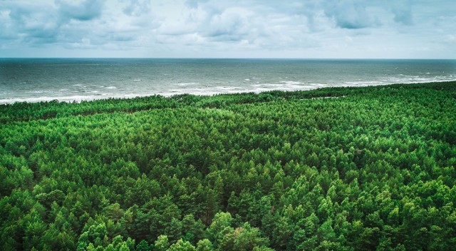 ©Vaidas Gegužis/Lithuania Travel/mat. prasowe