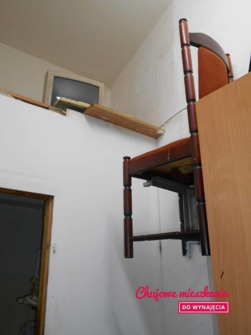 Najgorsze mieszkania do wynajęcia: sedes w kuchni i "latające" krzesła [ZDJĘCIA]