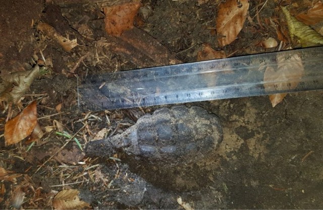 Granat "szyszka" znaleziony w lesie koło Leszczawy Górnej, niedaleko Przemyśla.