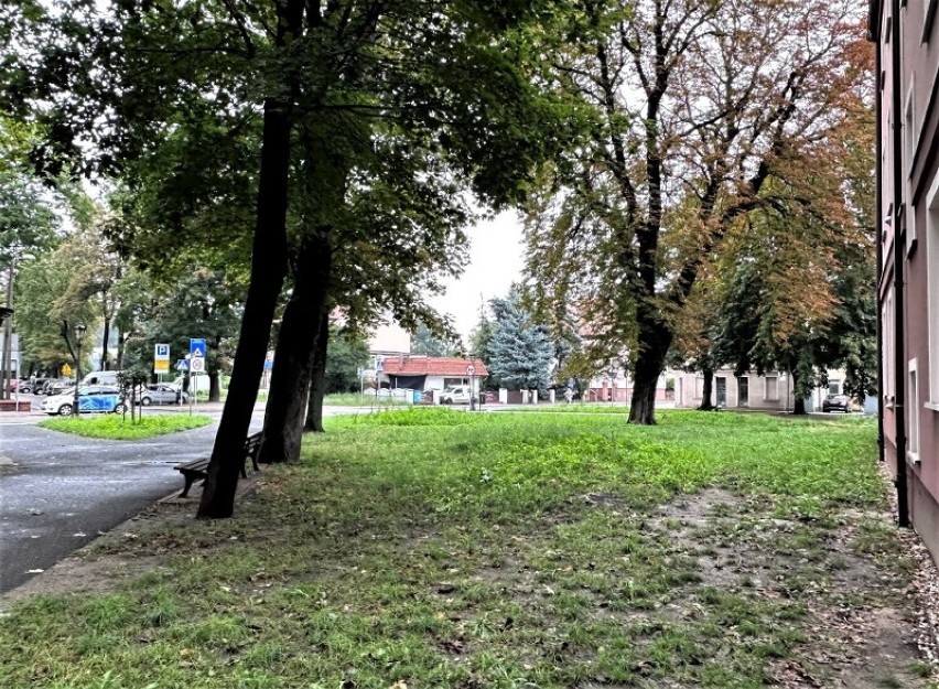 Przybędzie zieleni w centrum Leszna. Samorząd zapłaci za to blisko 90 tysięcy 