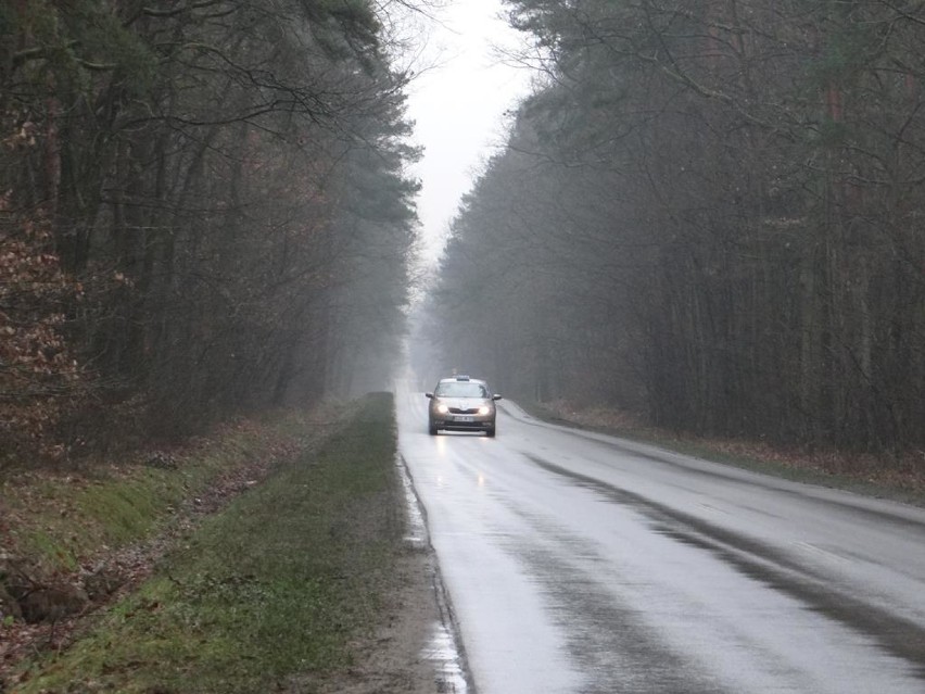 O wycięcie drzew sprawa. Bo są zbyt pochylone nad jezdnią