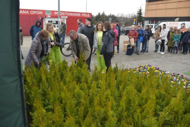 W sobotę (20 kwietnia) od godz. 10 akcja "Drzewko za surowce wtórne" w Tarnowie. Zapraszamy przed Gemini Park Tarnów!