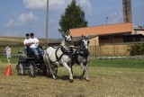 Konkurs w powożeniu o puchar starosty towarzyszył dożynkom w Godzianowie