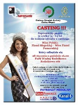 Park Wodny w Redzikowie: Casting do Wojewódzkich Wyborów Miss Polski