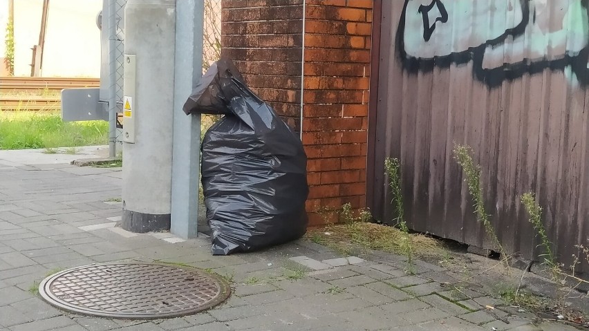 Wyrzucają śmieci gdzie się da. Skazani posprzątali przy ulicy Święciechowskiej na Zatorzu w Lesznie ZDJĘCIA