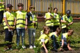 Pleszew. Posadzili drzewka w na terenie stadionu miejskiego w Pleszewie - akcja "Czyste, zielone miasta" [zdjęcia]