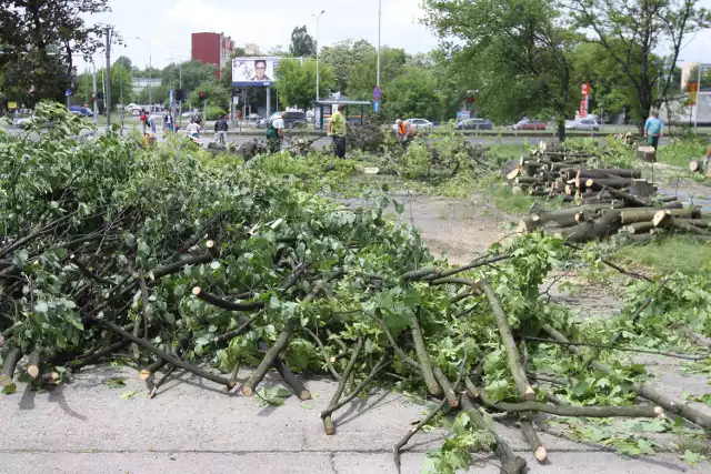 Na Lutomierskiej wycinają drzewa pod supermarket