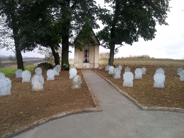 Prace renowacyjne cmentarza wojennego Twierdzy Przemyśl w Drohojowie.