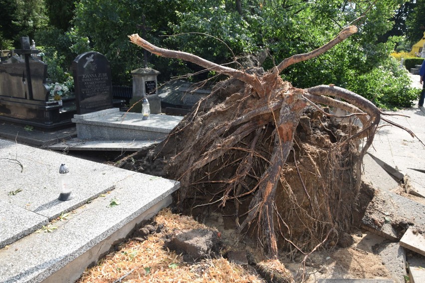 Cmentarz w Wieluniu po nawałnicy. Połamane drzewa, zniszczone pomniki FOTO, WIDEO